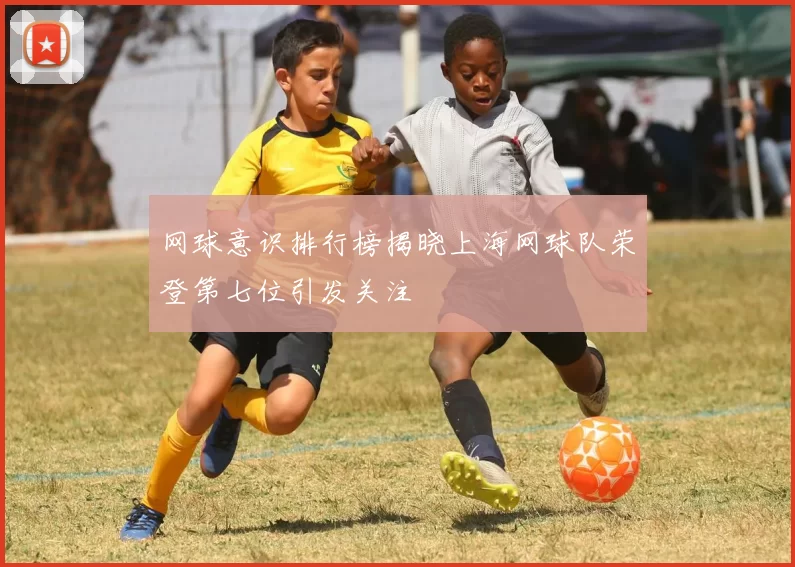 网球意识排行榜揭晓上海网球队荣登第七位引发关注