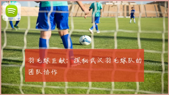 羽毛球巨献：探秘武汉羽毛球队的团队协作