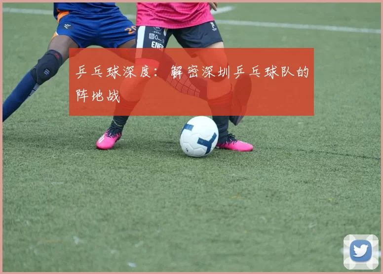 乒乓球深度：解密深圳乒乓球队的阵地战