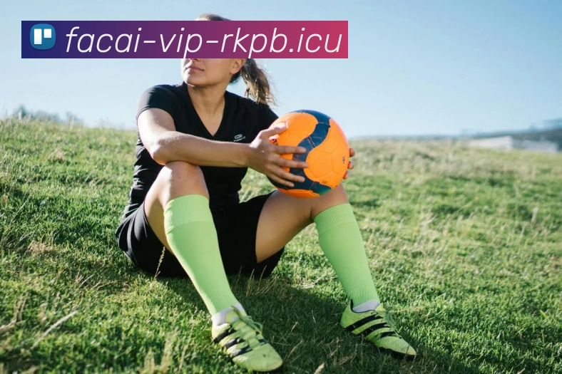 MK体育注册品牌故事